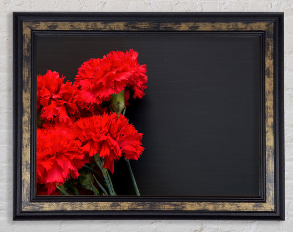 Red flowers dark background Framed Print