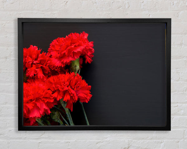 Red flowers dark background Framed Print