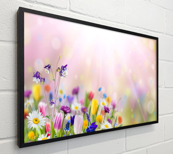 Mixed colourful flowers