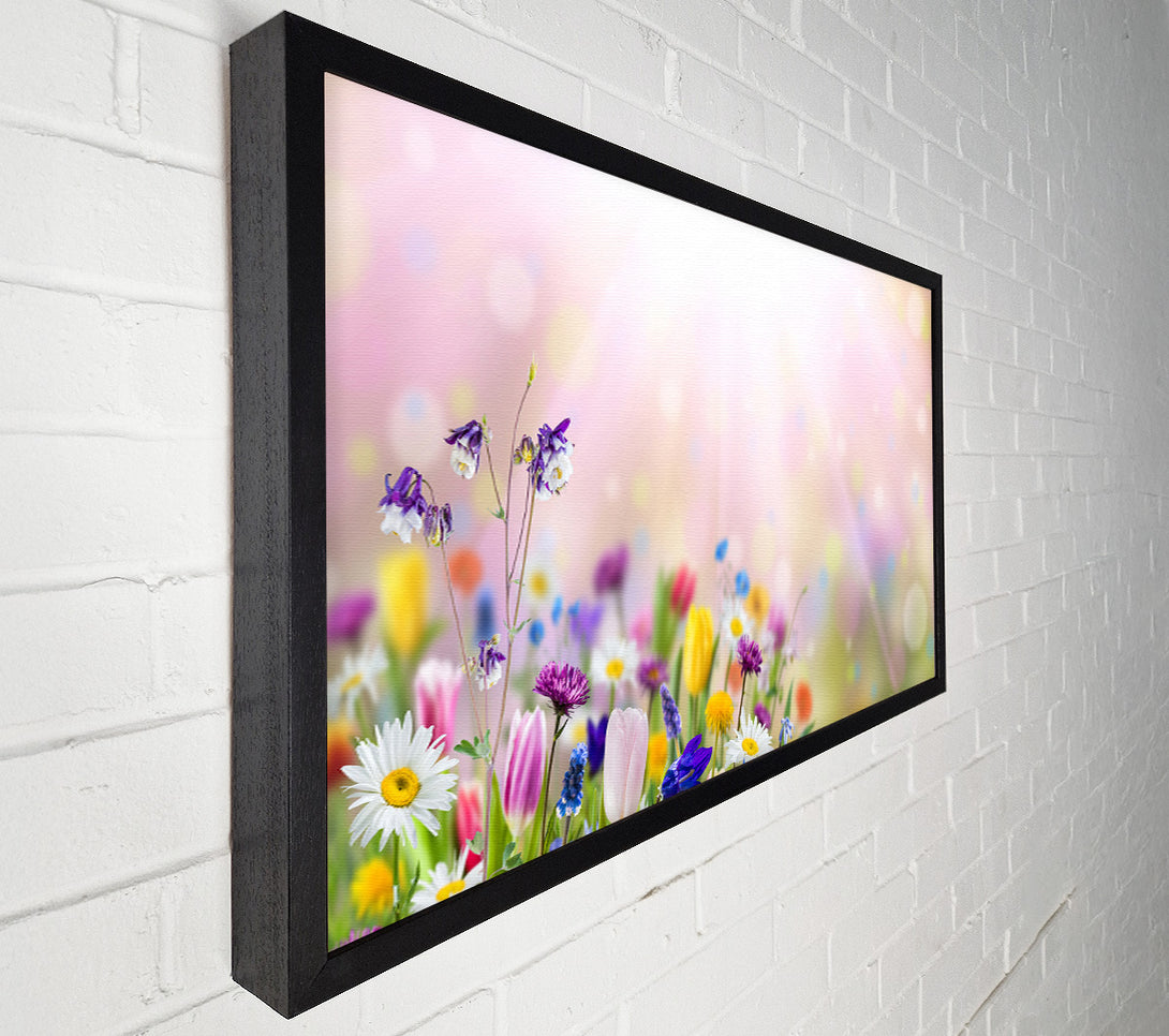 A Canvas Print of Mixed colourful flowers Canvas Art