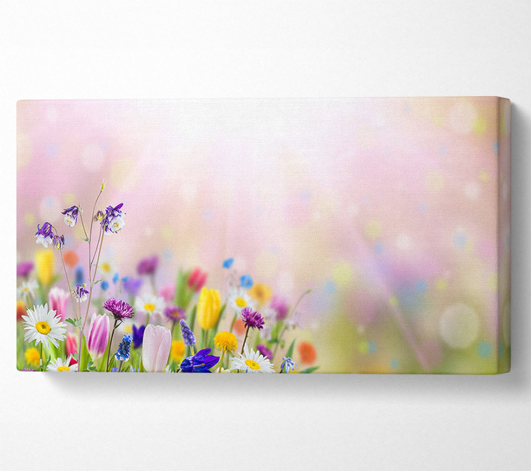  A Canvas Print of Mixed colourful flowers Canvas Art