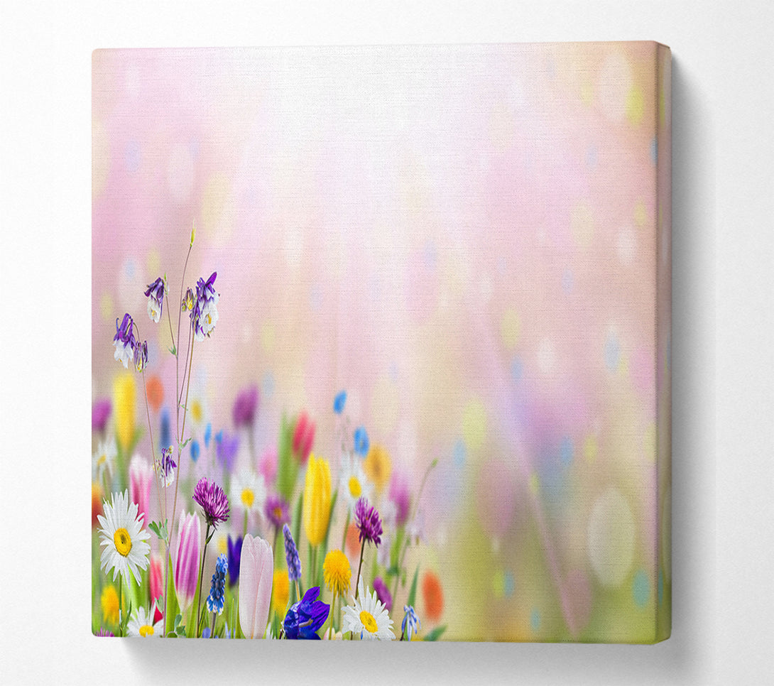  A Canvas Print of Mixed colourful flowers Canvas Art