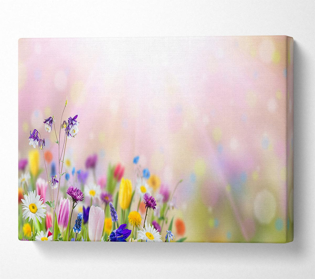  A Canvas Print of Mixed colourful flowers Canvas Art