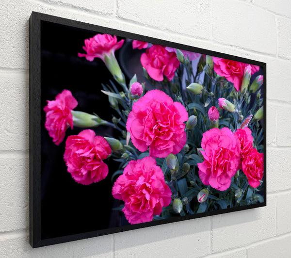 Pink flowers rising