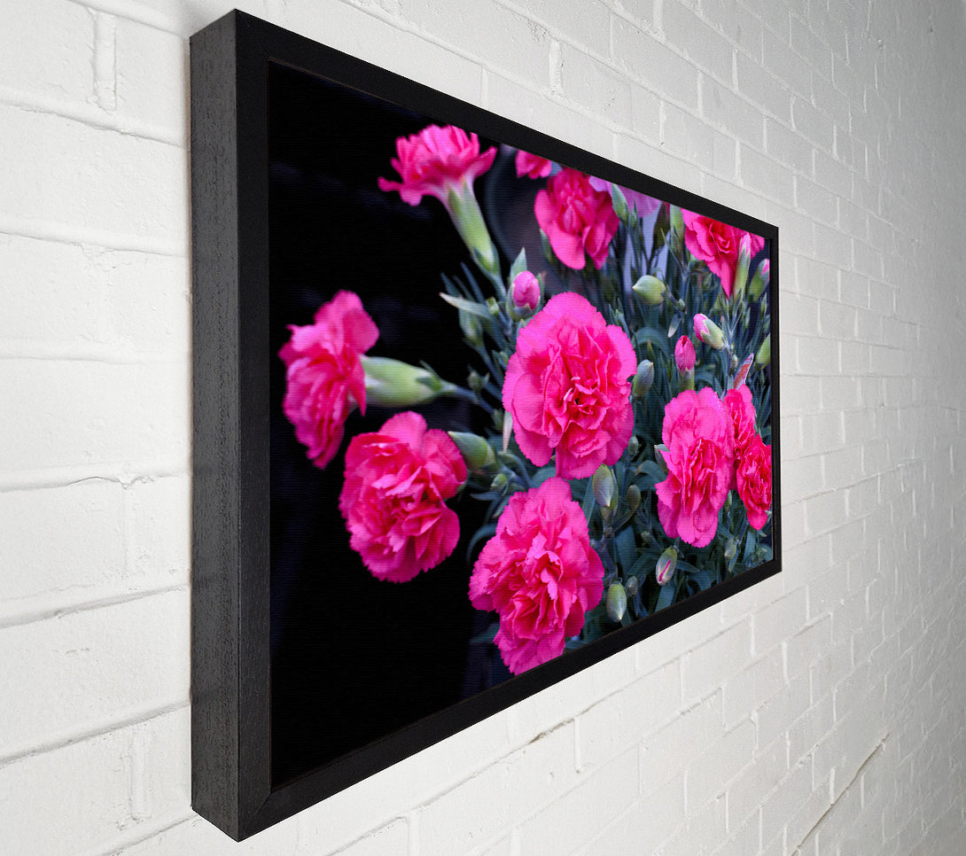  A Canvas Print of Pink flowers rising Canvas Print