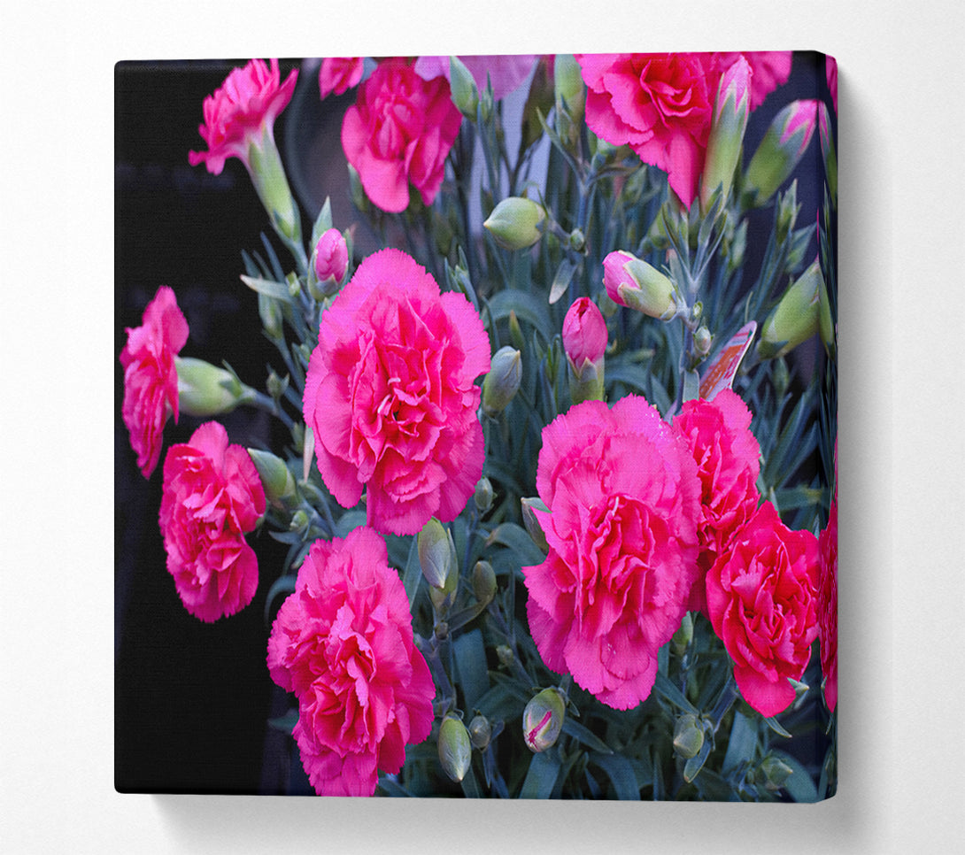  A Canvas Print of Pink flowers rising Canvas Print