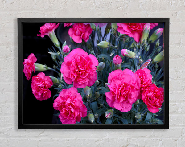 Pink flowers rising Framed Print