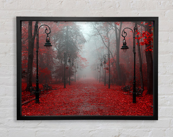 Red Autumn leaves streetlights Framed Print