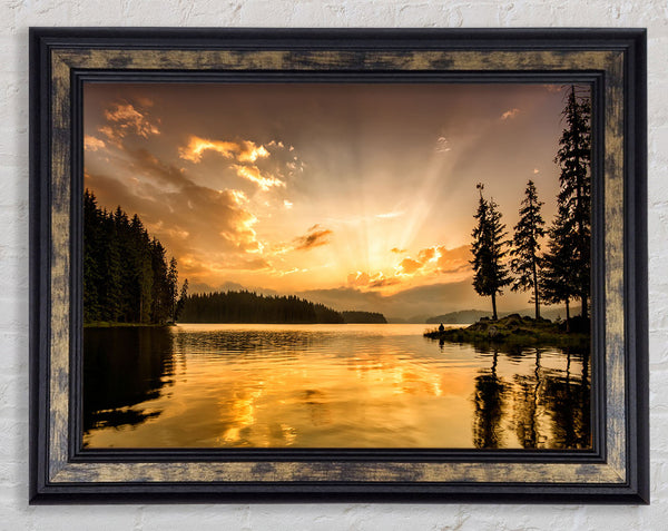 yellow skies woods Framed Print