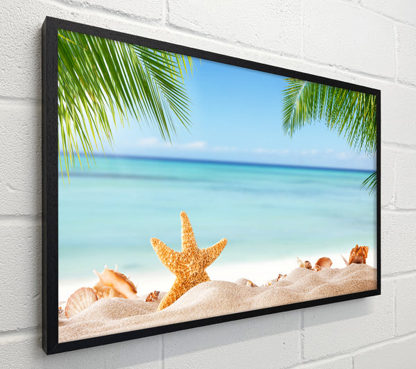 Starfish on the beach scene