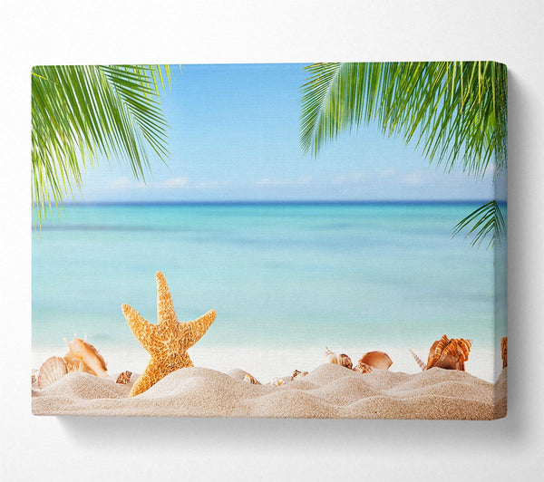  A Canvas Print of Starfish on the beach scene Canvas Art