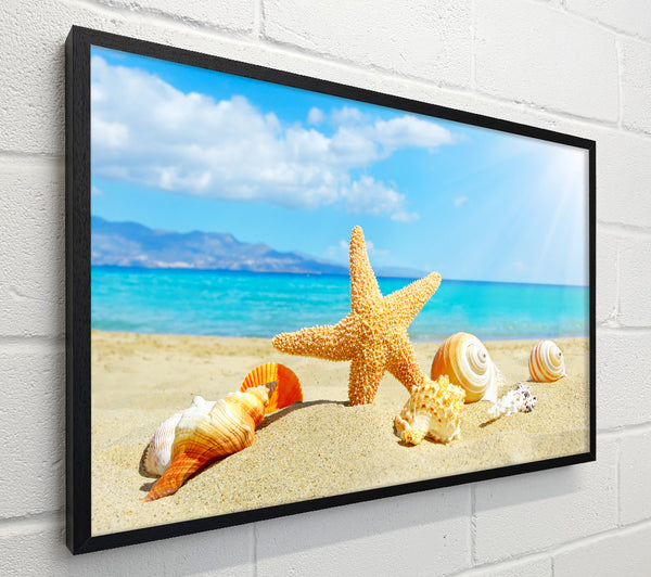 Starfish standing in the sand