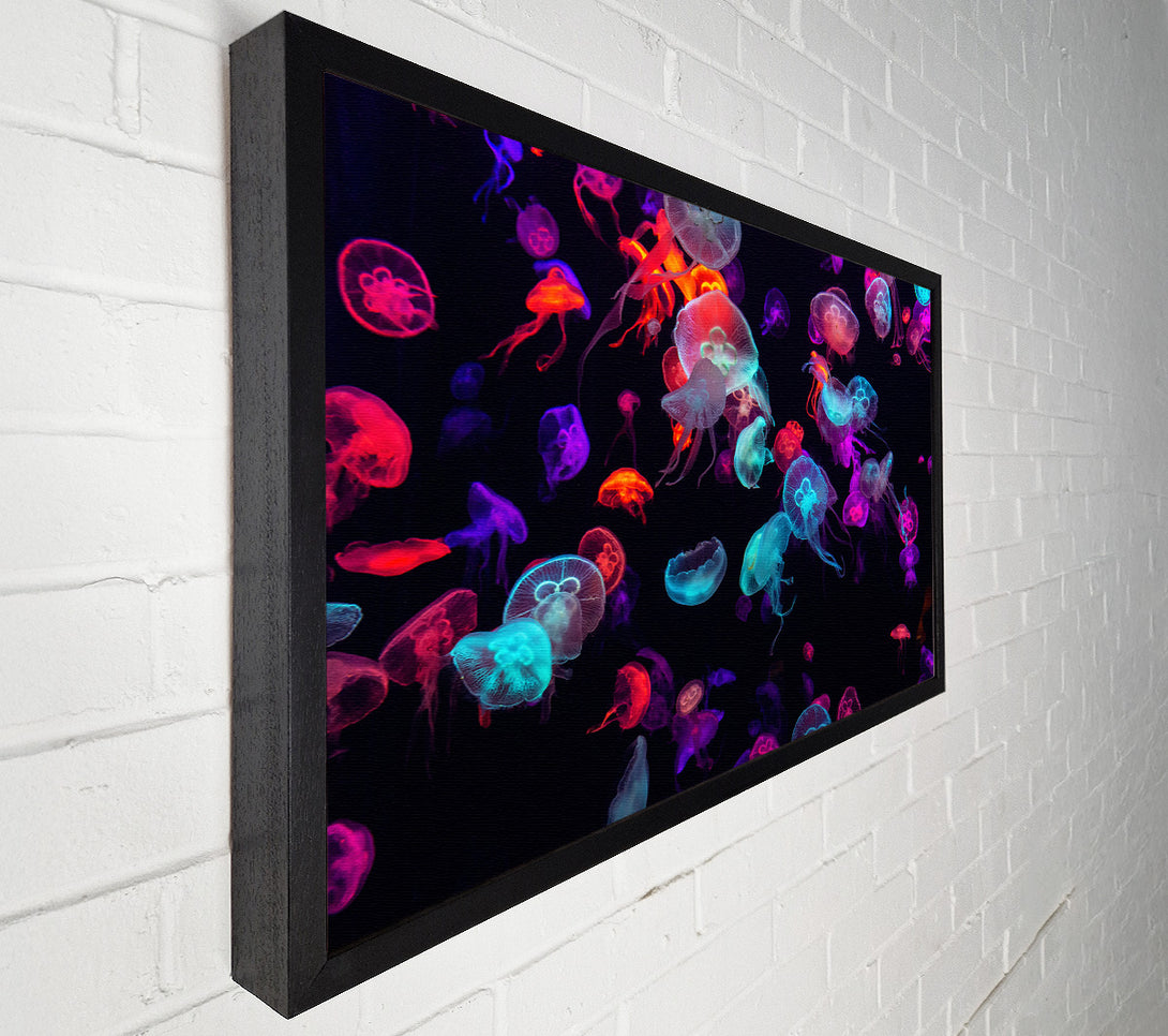  A Canvas Print of Neon Jellyfish frenzy Canvas Print