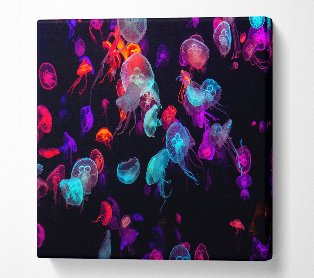  A Canvas Print of Neon Jellyfish frenzy Canvas Print