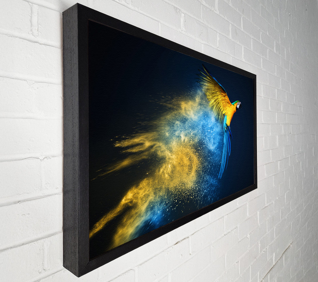 A Canvas Print of powder parrot take off Canvas Wall Art
