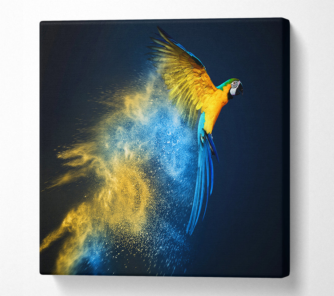  A Canvas Print of powder parrot take off Canvas Wall Art