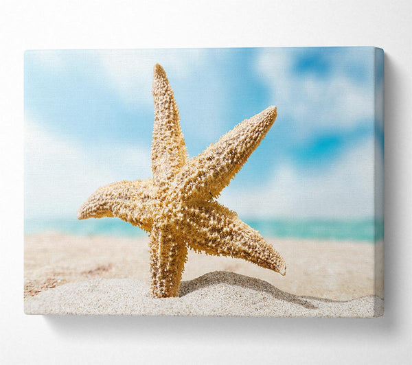  A Canvas Print of Starfish in detail sands Canvas Wall Art