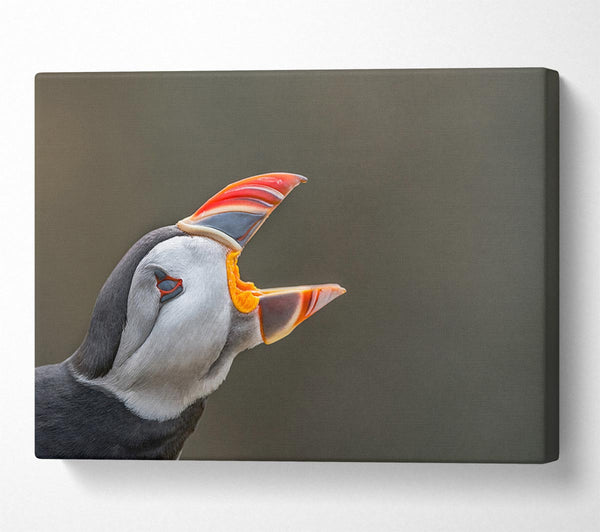  A Canvas Print of Puffin sounding the alarm Canvas Wall Art