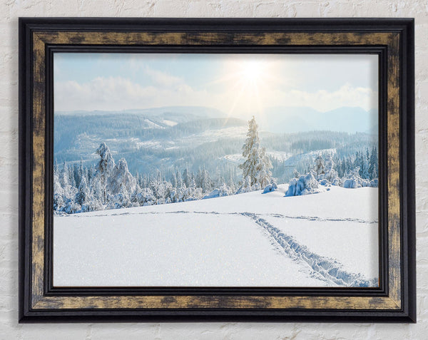 heavy snow on the plane Framed Print
