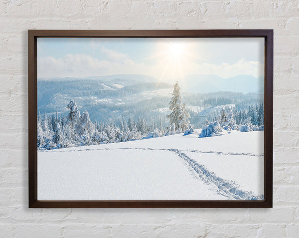 heavy snow on the plane Framed Print