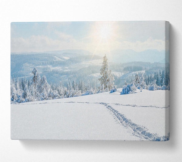  A Canvas Print of heavy snow on the plane Canvas Art