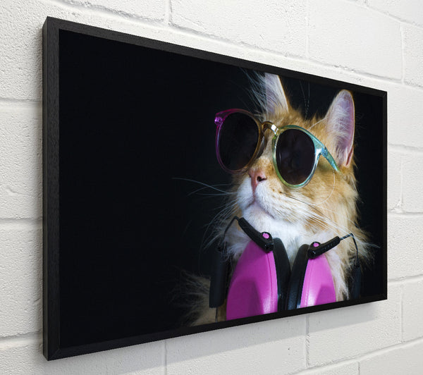 Cool headphones cat with headphones