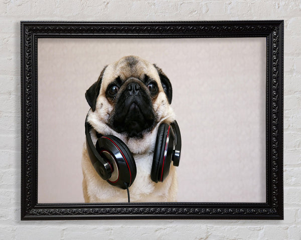 Cool pug wearing headphones Framed Print
