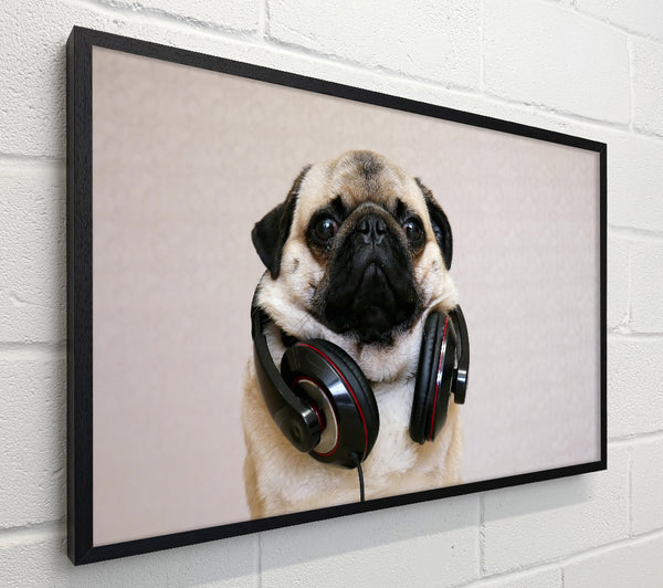 Cool pug wearing headphones