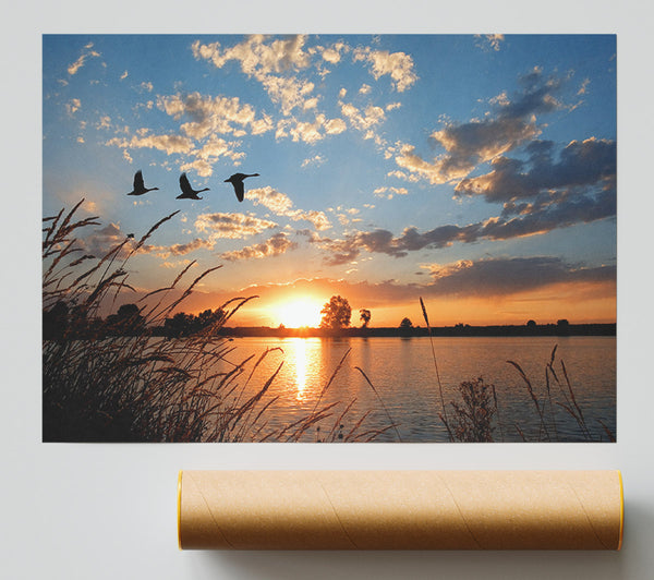 Swans Flying Over The Lake Print