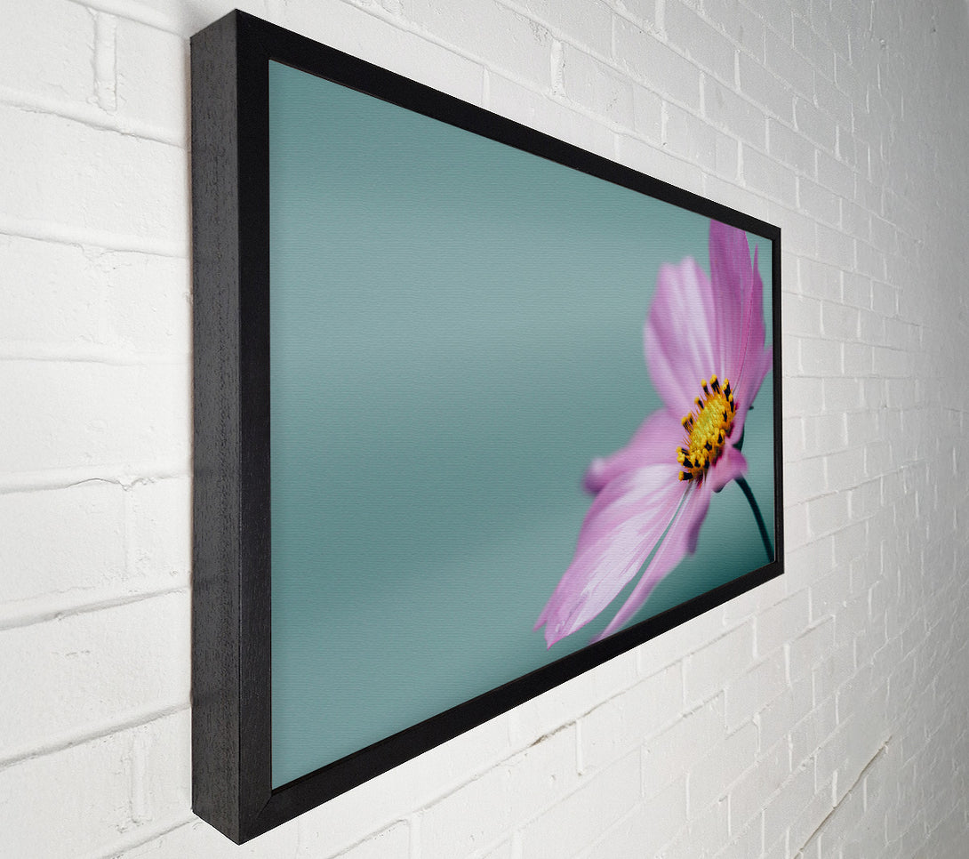  A Canvas Print of Flower shot from the side pink Canvas Art