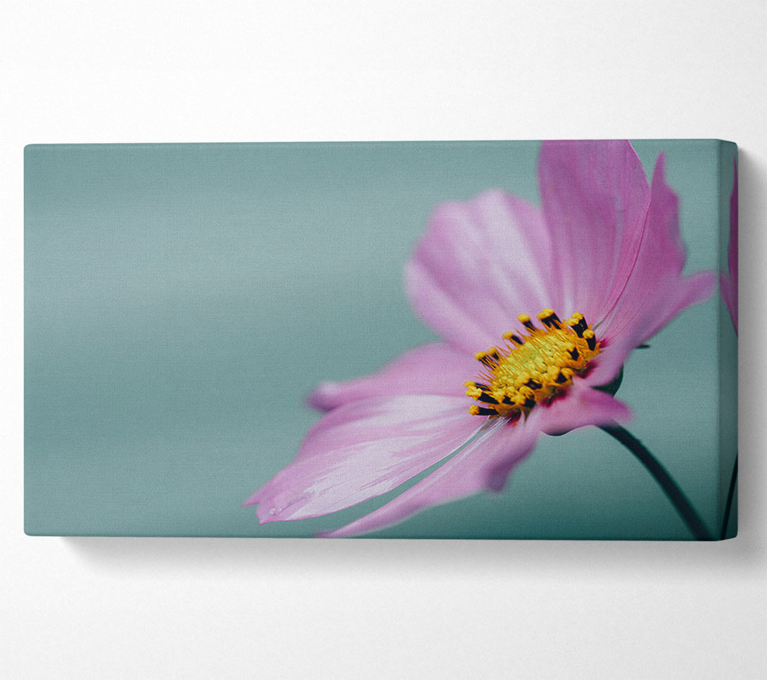  A Canvas Print of Flower shot from the side pink Canvas Art