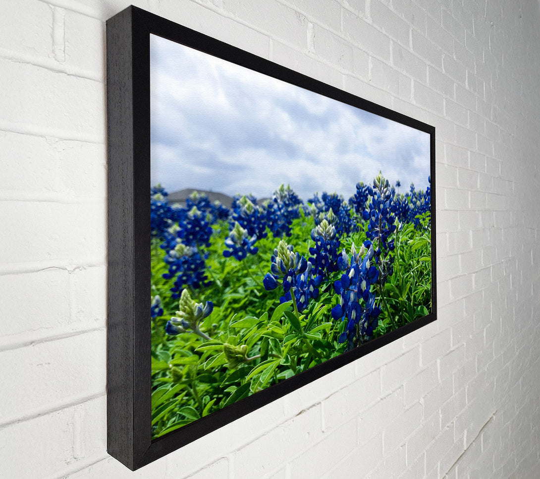  A Canvas Print of Bue flowers on green stems Canvas Wall Art