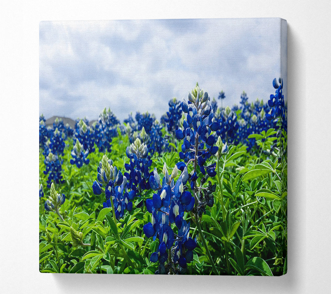  A Canvas Print of Bue flowers on green stems Canvas Wall Art