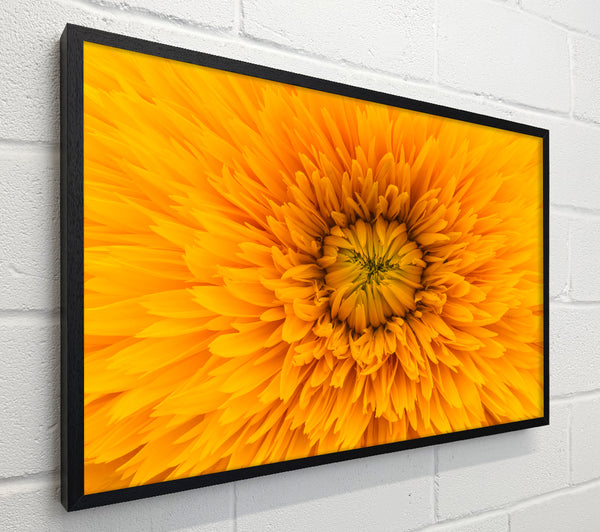 Gorgeous yellow flower delight