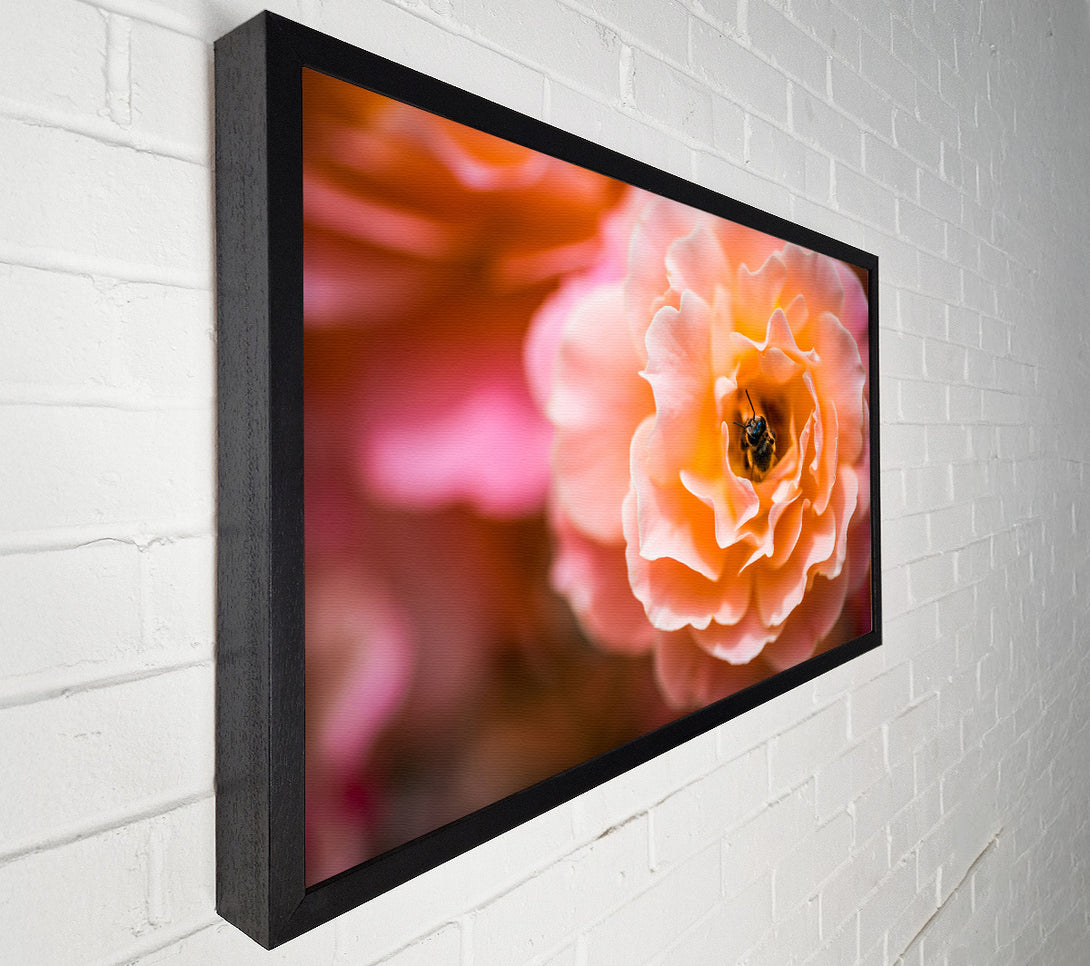  A Canvas Print of Bee chilling in a flower Canvas Print