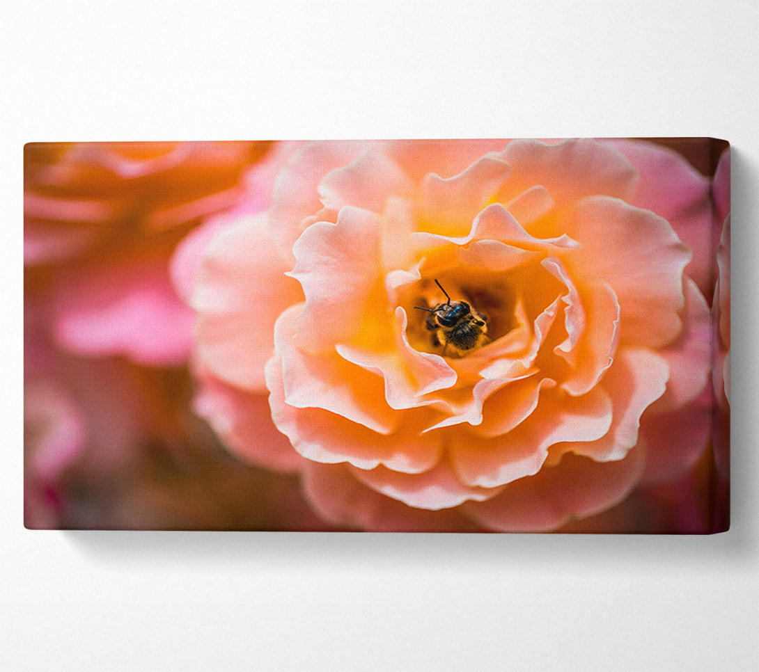  A Canvas Print of Bee chilling in a flower Canvas Print