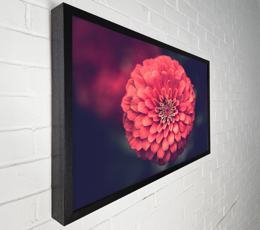  A Canvas Print of Circular flower perfectly balanced Canvas Wall Art