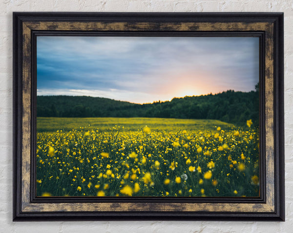 Surreal field of yellow flowers Framed Print