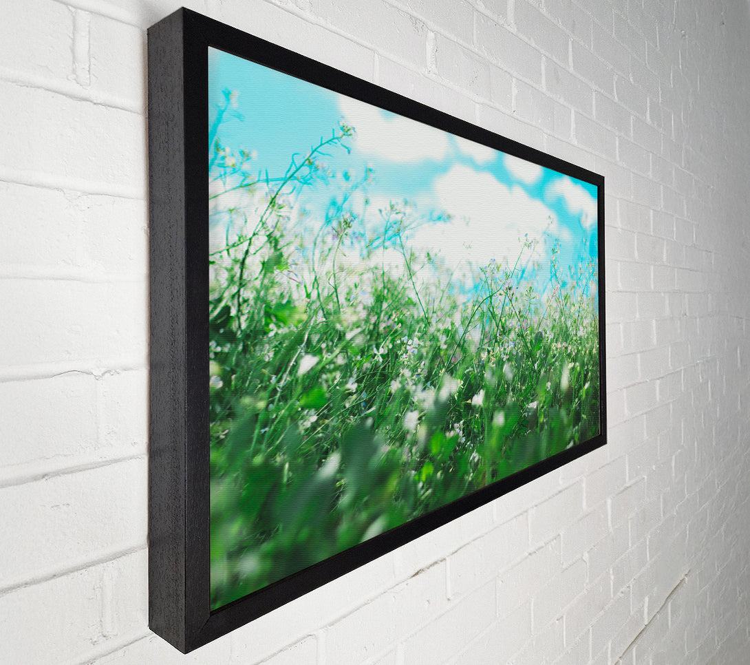  A Canvas Print of Wild flowers in the spring meadow Canvas Art