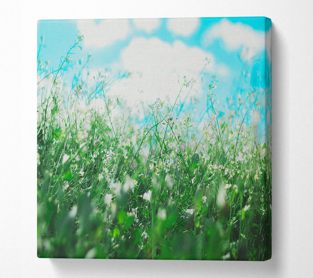  A Canvas Print of Wild flowers in the spring meadow Canvas Art