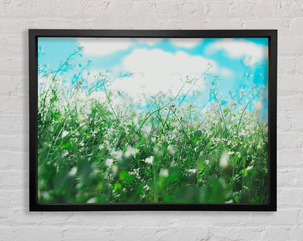 Wild flowers in the spring meadow Framed Print