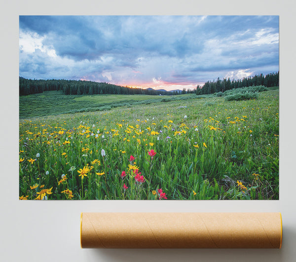 Spring Meadow Between The Trees Giclee Print