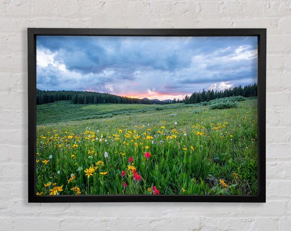 Spring meadow between the trees Framed Print