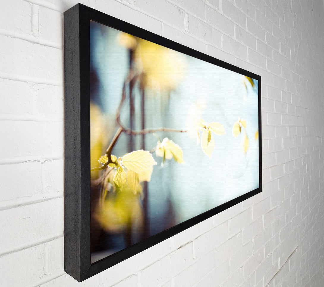  A Canvas Print of Bleached leaves Canvas Print