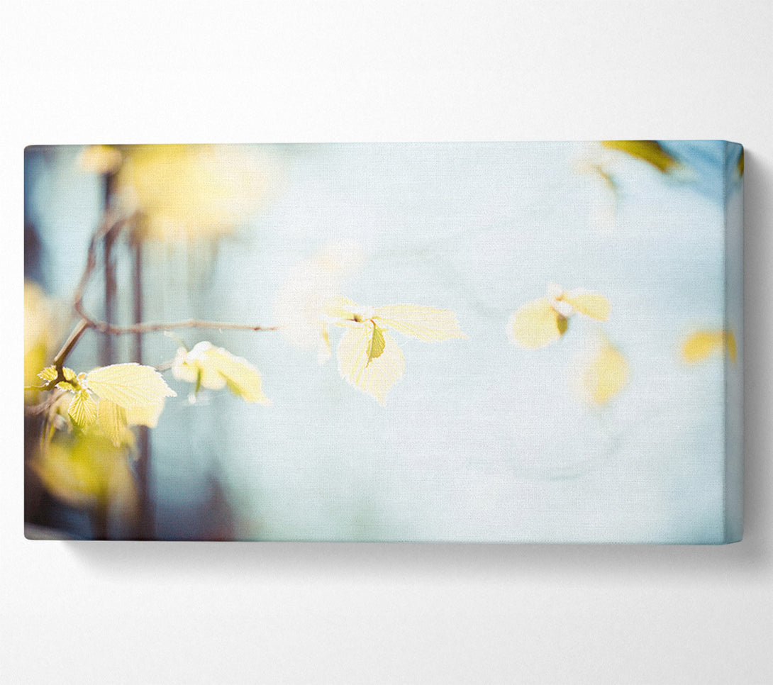  A Canvas Print of Bleached leaves Canvas Print