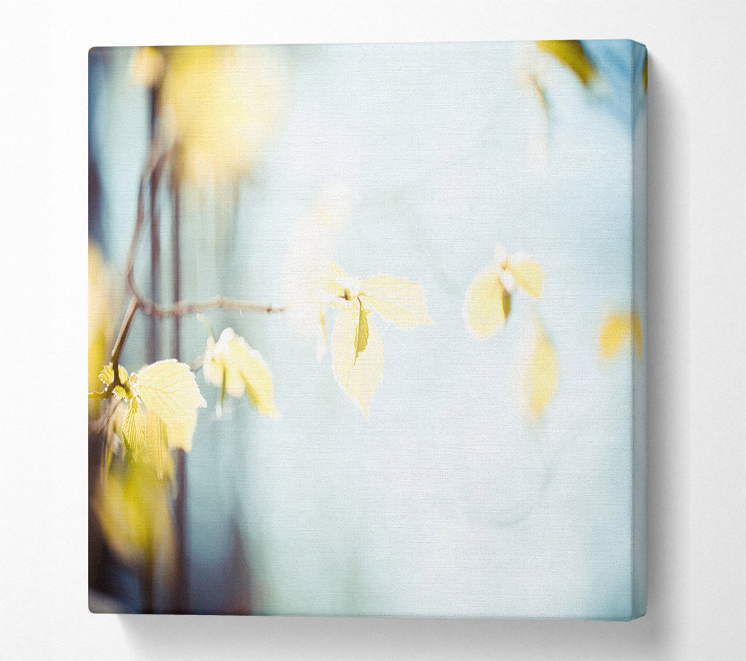  A Canvas Print of Bleached leaves Canvas Print