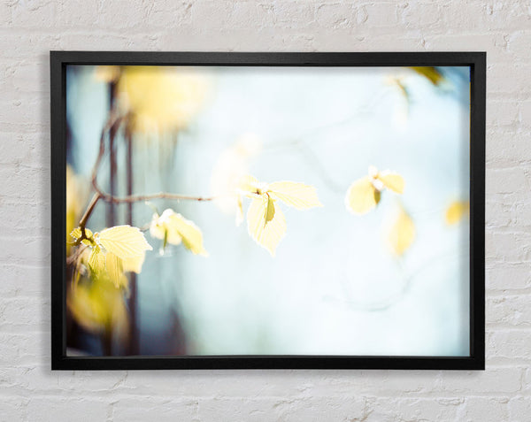 Bleached leaves Framed Print
