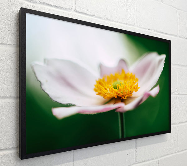 Landing pad flower