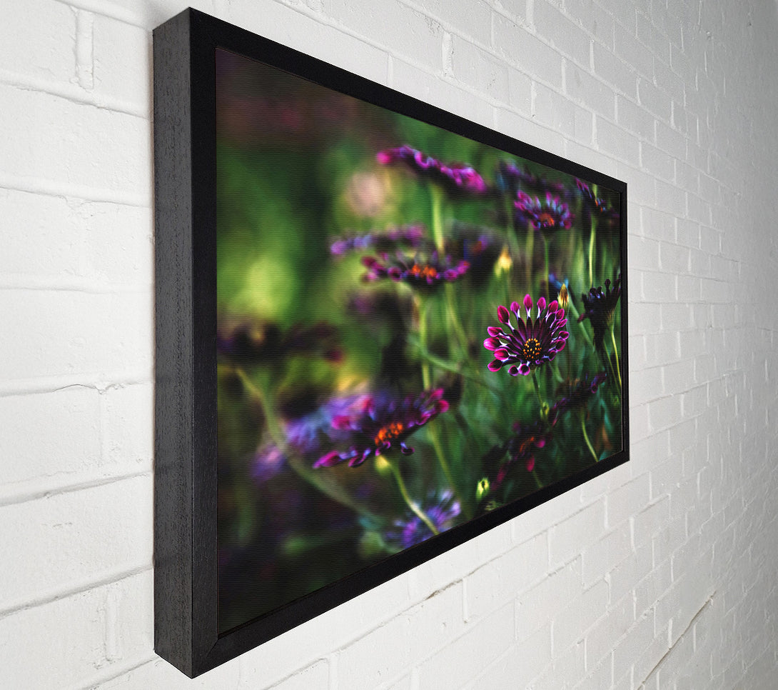  A Canvas Print of Star flowers suspending off the ground Canvas Art