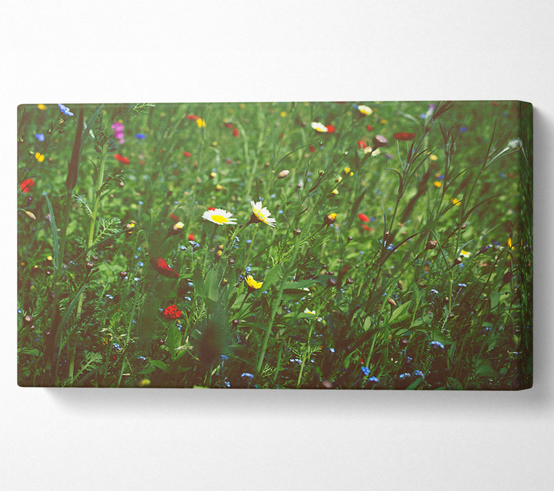 A Canvas Print of Springtime flowers greenery Canvas Wall Art